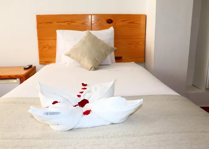 Hotel Fenix 3*