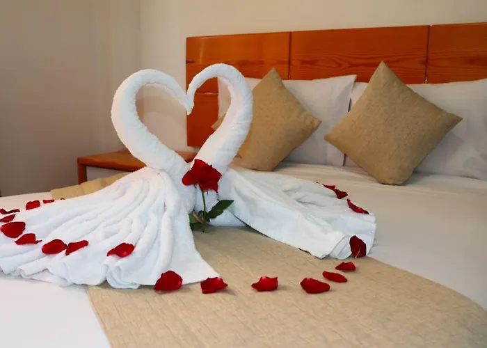 Hotel Fenix 3*